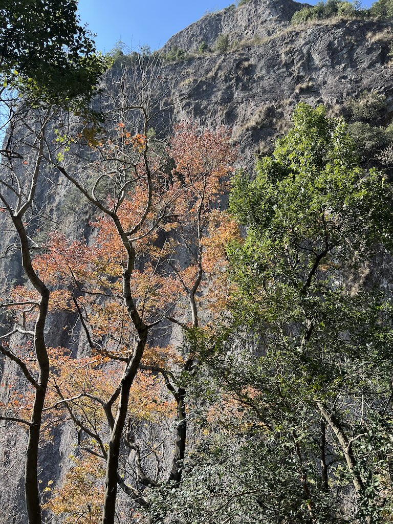 此处插入图片：上折瀑路上的风景