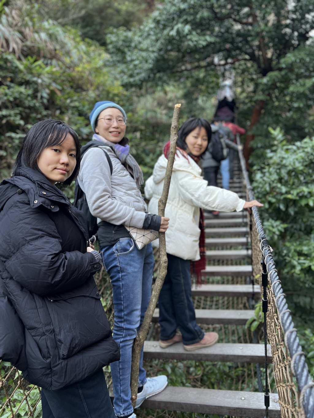 此处插入图片：收费索道与天然登山杖