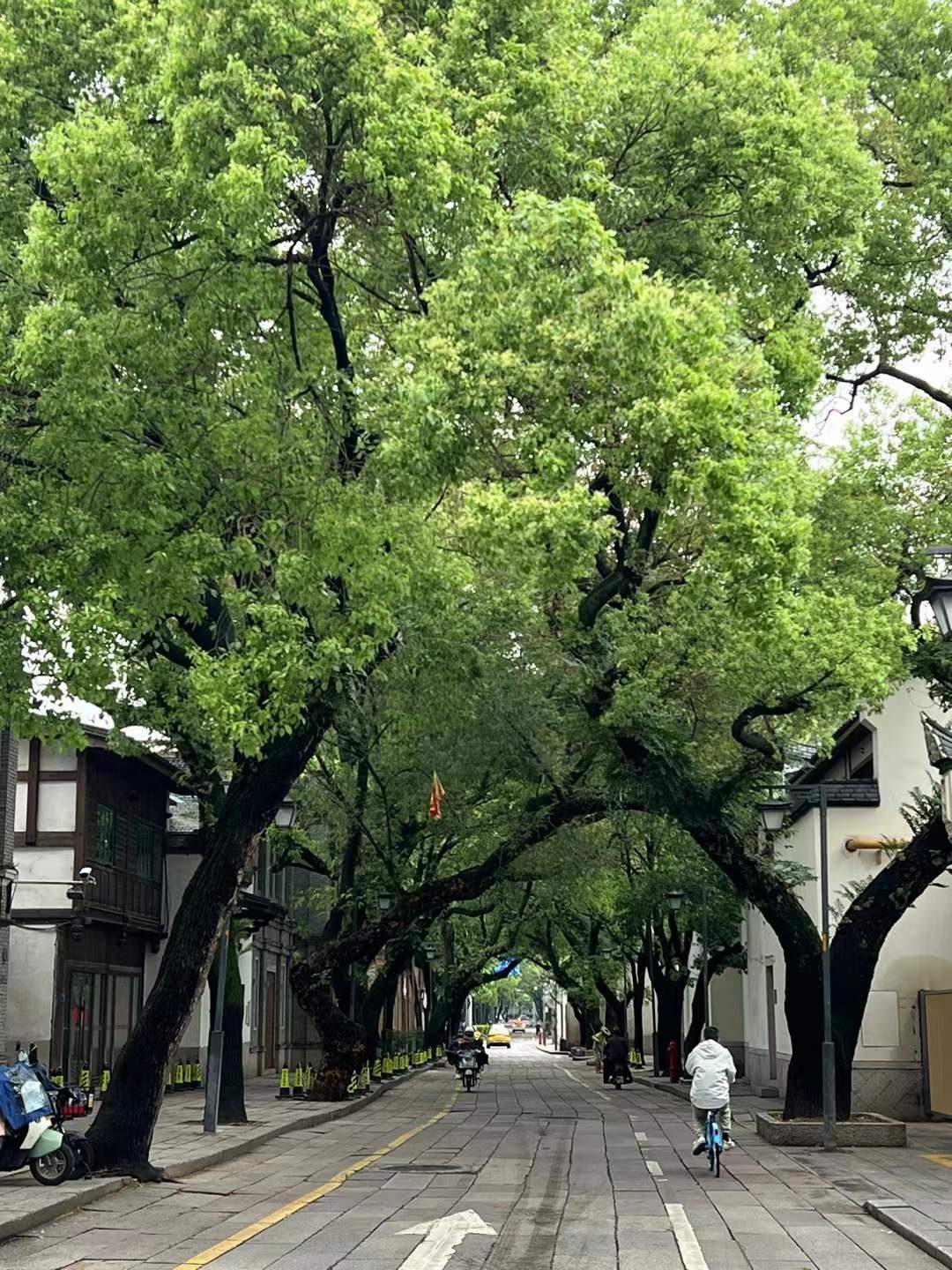 fuzhou street 2