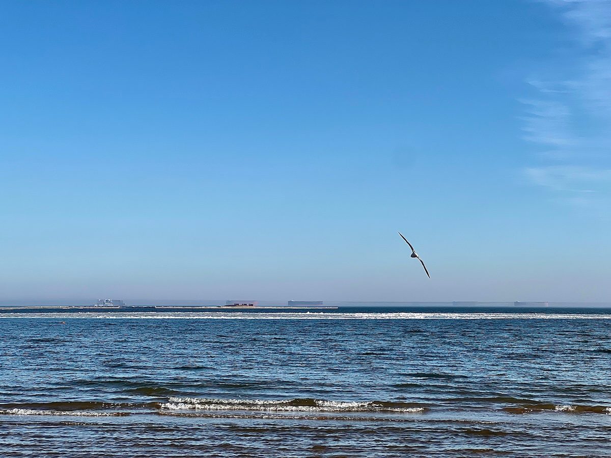 sea1
