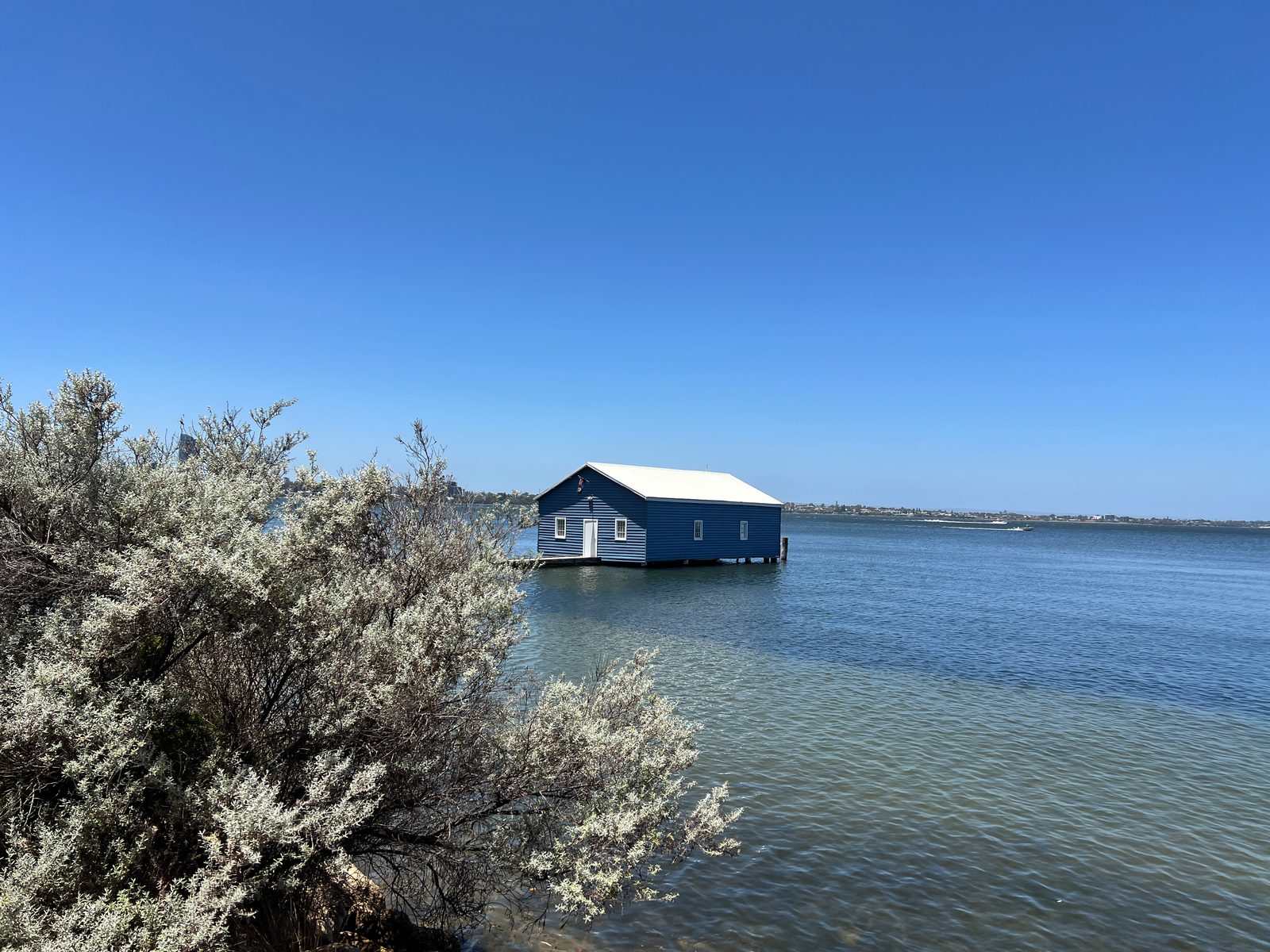 Bluehouse2