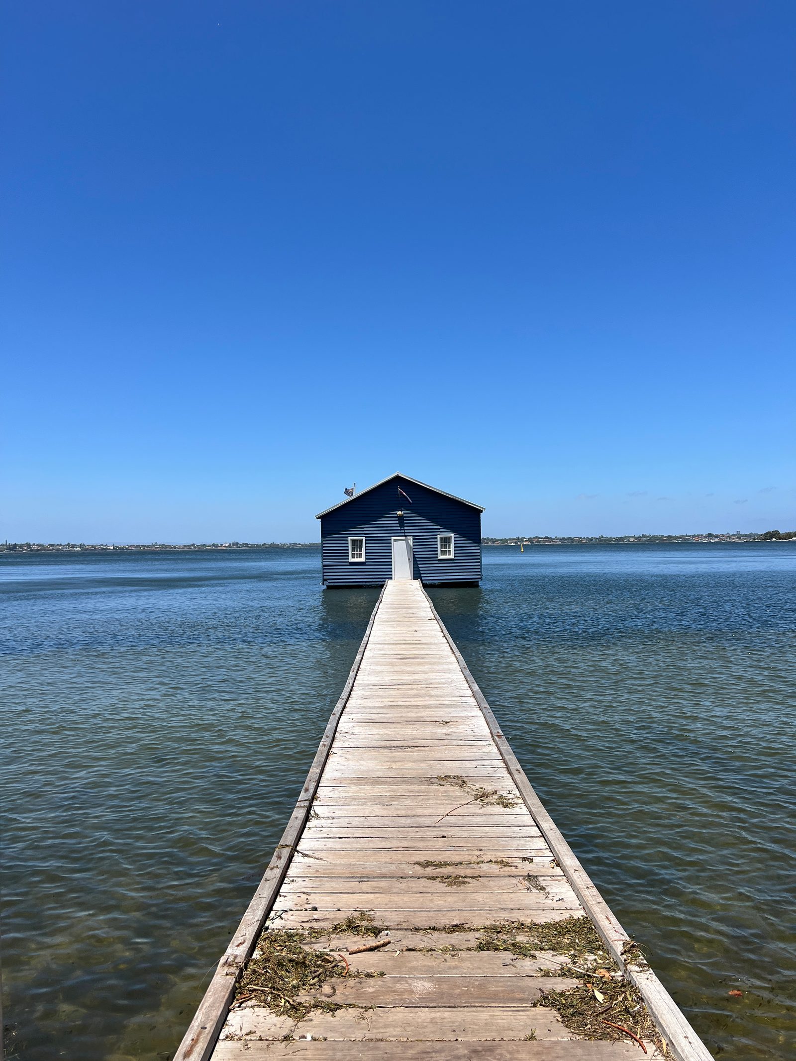 blue house1
