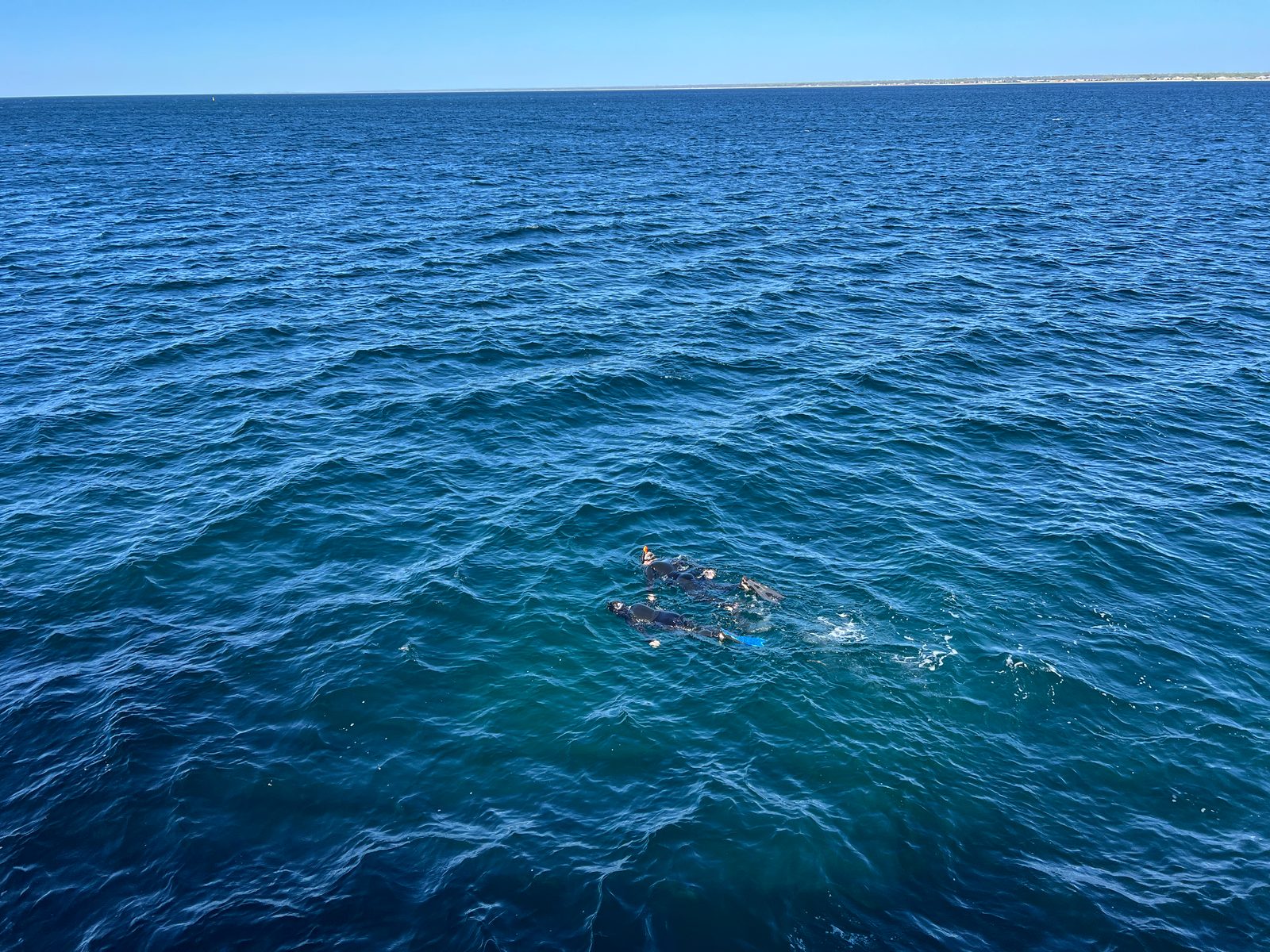 diving