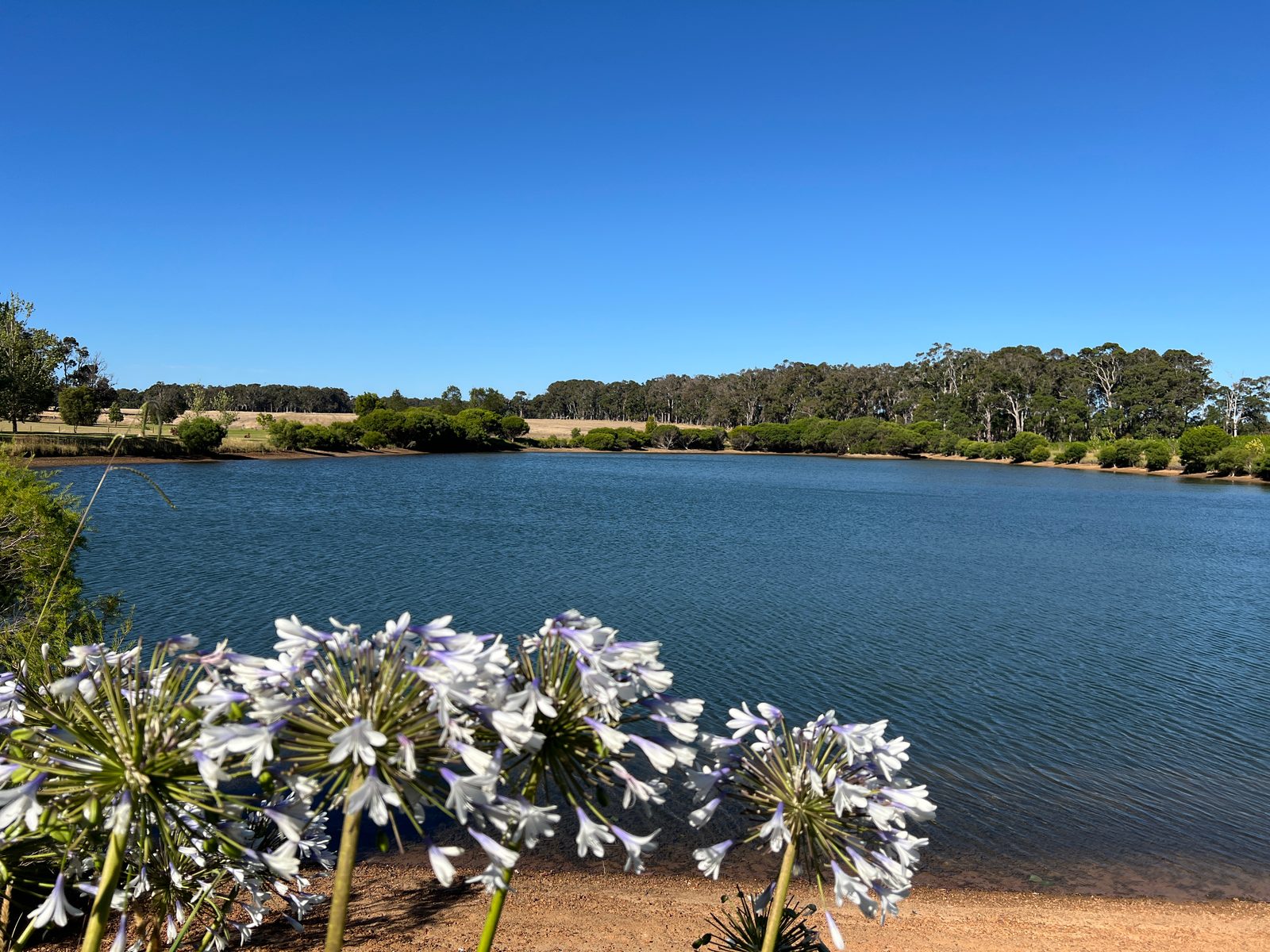 lake