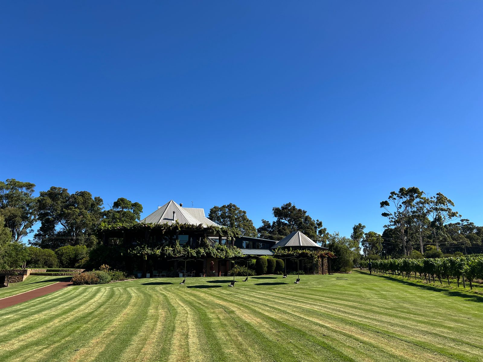 vasse